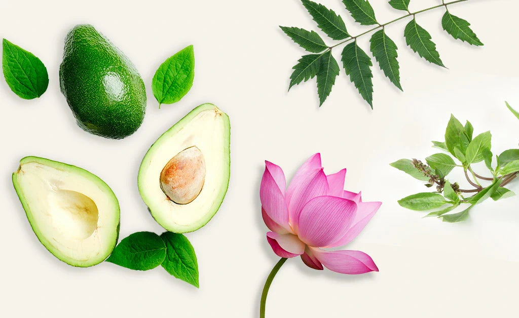 6 Powerful Natural Ingredients to Check Before Buying a Body Wash